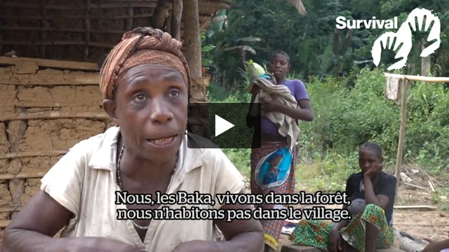 « Nous en avons assez d'entendre parler des 'limites'de la forêt »