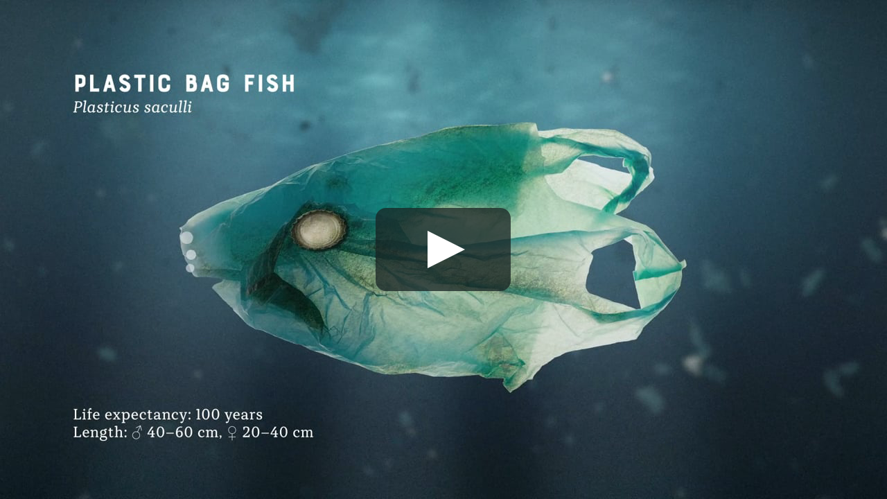 Trash fish on Vimeo