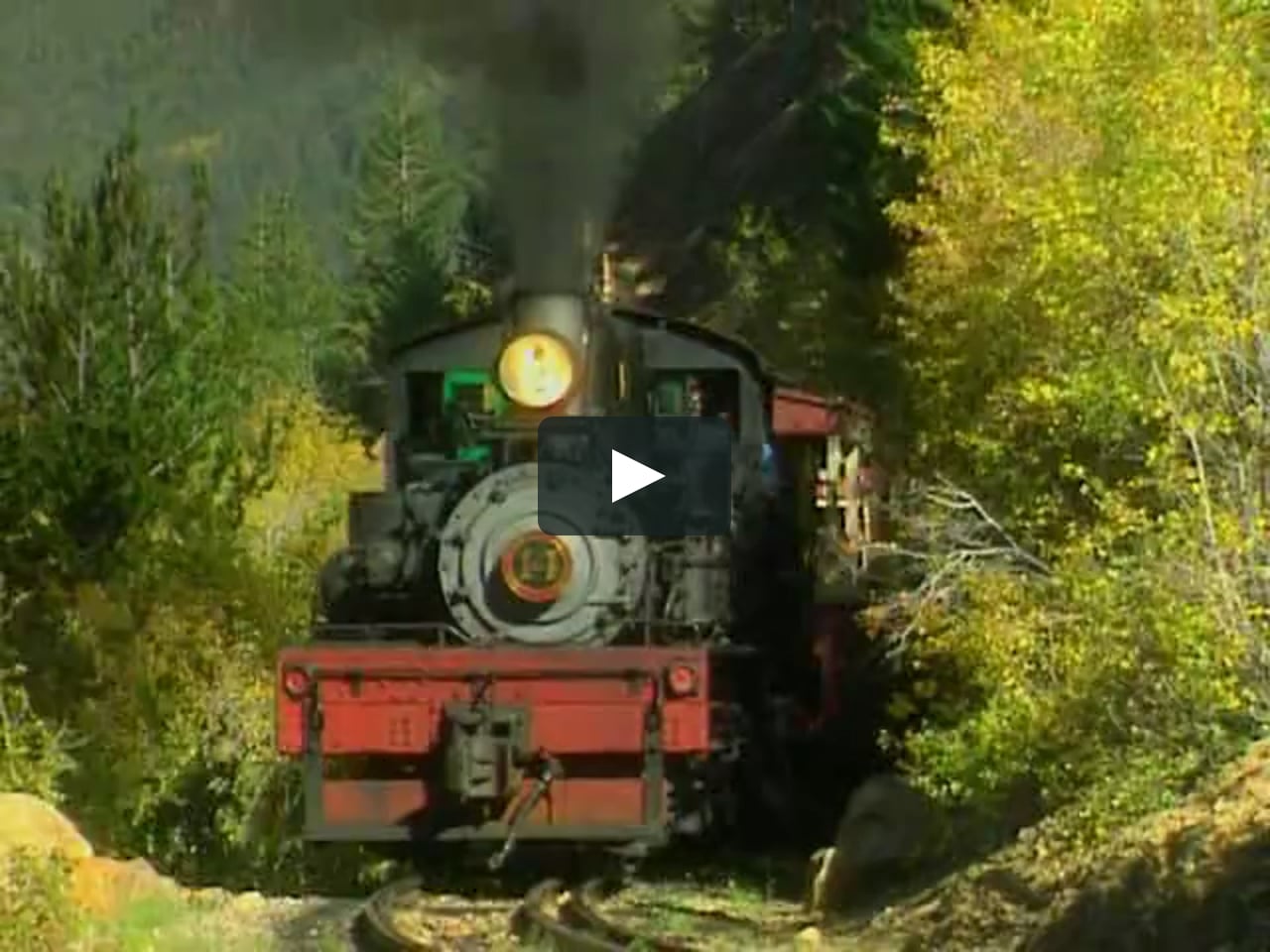 Baby Shakespeare World Of Poetry 2004 On Vimeo Baby Shakespeare World Of Poetry 2004 On Vimeo