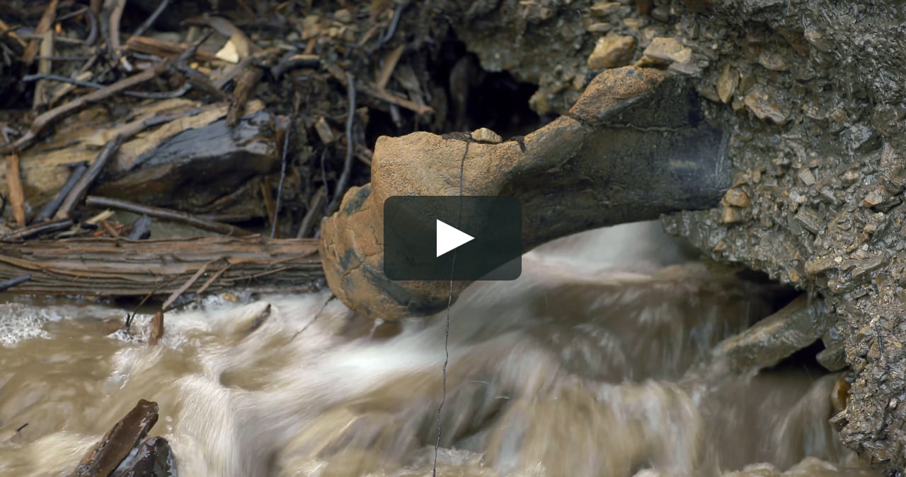 Watch Boneyard Alaska documentary film with John Reeves Online Vimeo