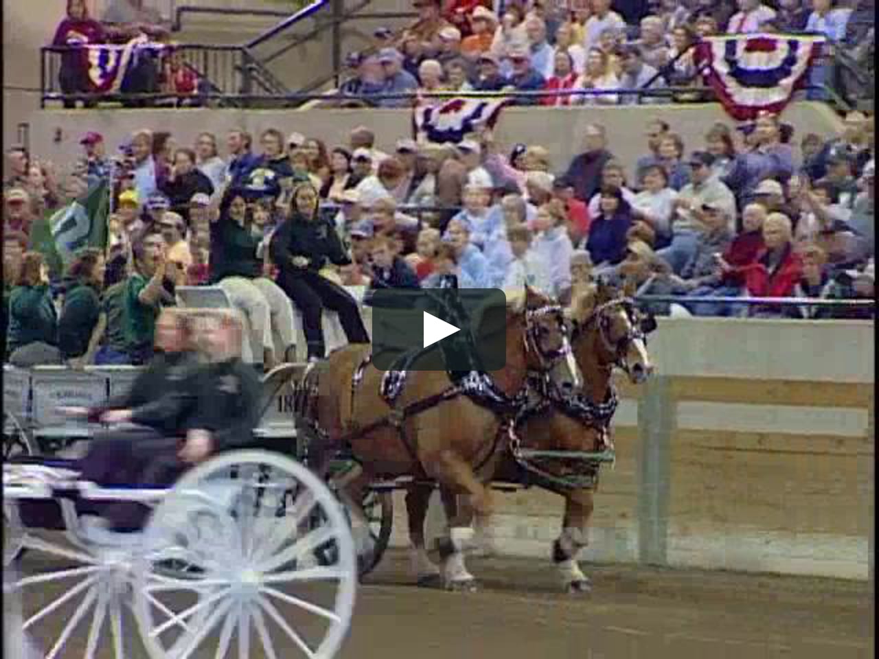 Michigan Great Lakes International Draft Horse Show and Pull Sponsor