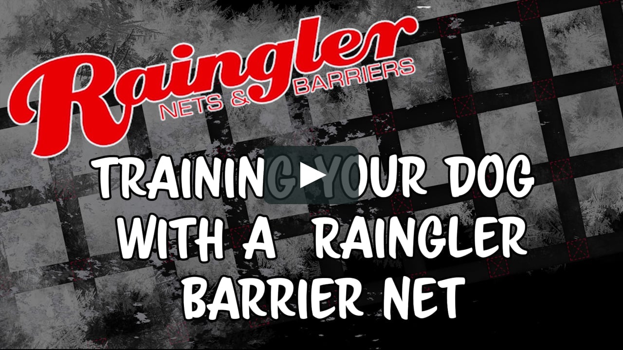 How To Train Your Dog With A Raingler Barrier Net On Vimeo How To Train Your Dog With A Raingler Barrier Net On Vimeo
