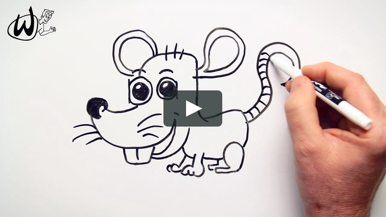 How to Draw a Rat (Word to Drawing) - Wienot Draw with Whiteboard Jim on  Vimeo