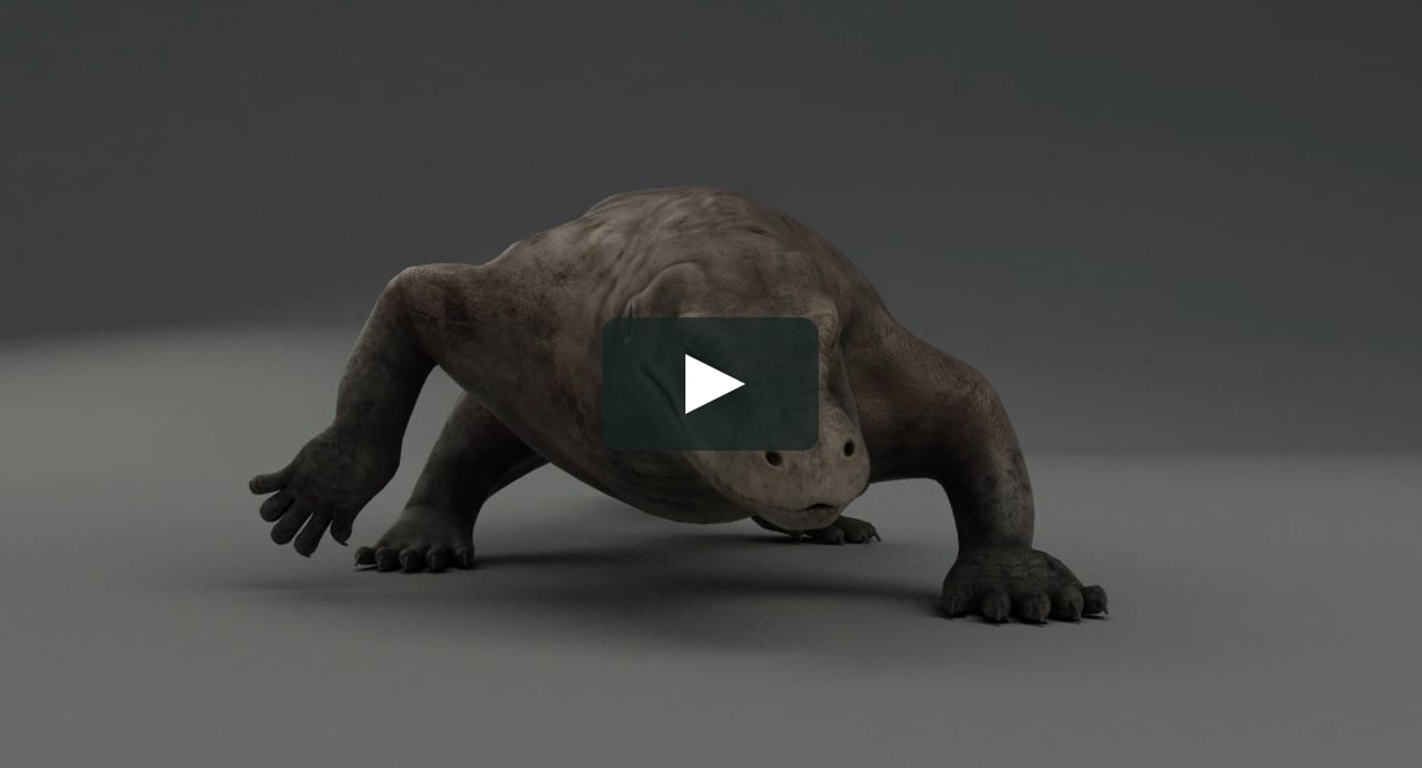 Komodo Dragon (Varanus Komodoensis) 3D Model on Vimeo