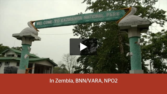Zembla investigation into WWF abuse