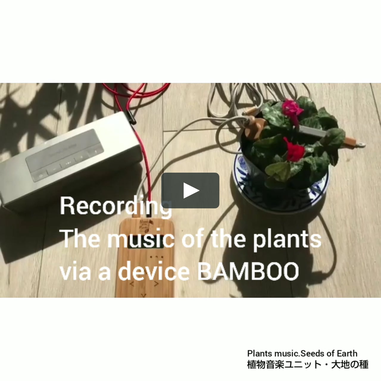 大地の種 植物音楽コラボレーション Plants Music On Vimeo