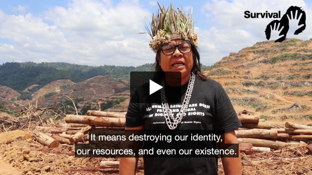 "For the Orang Asli land development spells destruction"