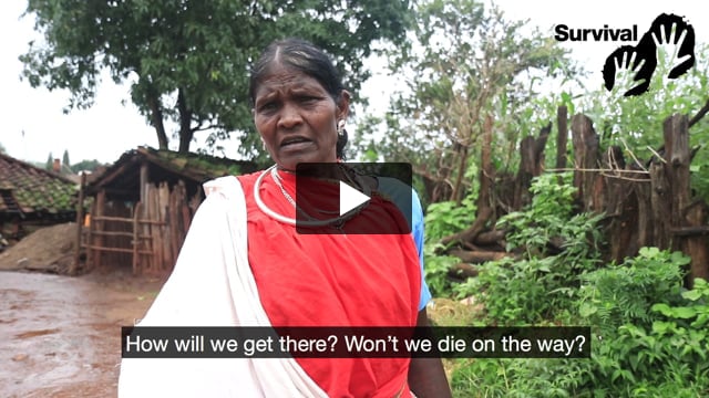 “If the jungle is taken away from us how will we survive?"