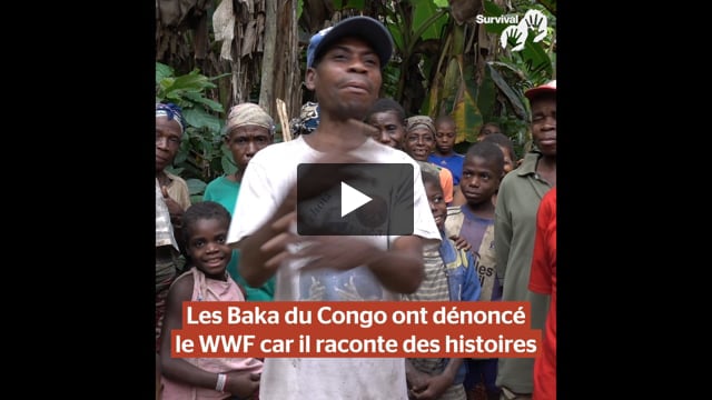 Les Baka du Congo ont dénoncé le WWF car il raconte des histoires