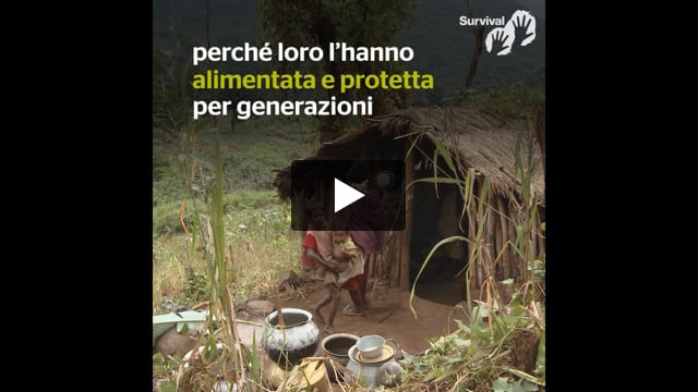 Il governo indiano prepara un attacco globale ai diritti indigeni