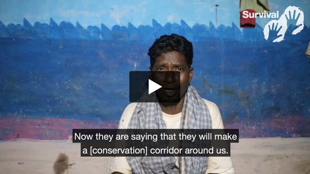 “Which jungle has been made by the government?”