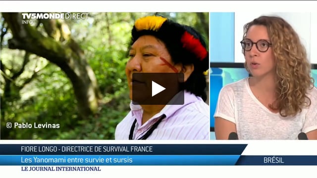 Des milliers de chercheurs d’or envahissent le territoire des Yanomami au Brésil
