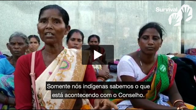 "Somente nós indígenas sabemos o que está acontecendo"