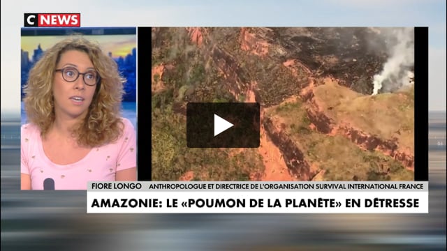 La déforestation est encouragée par la politique de Jair Bolsonaro