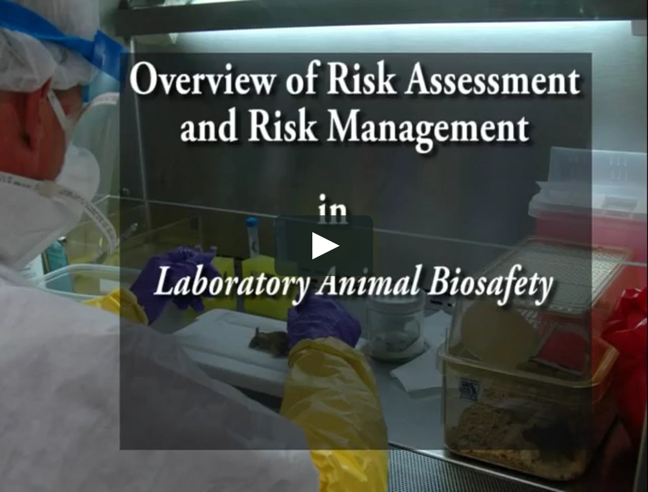 Overview of Risk Assessment and Risk Management in Laboratory Animal  Biosafety on Vimeo