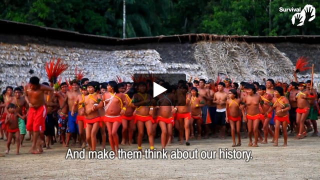 Davi and the Yanomami