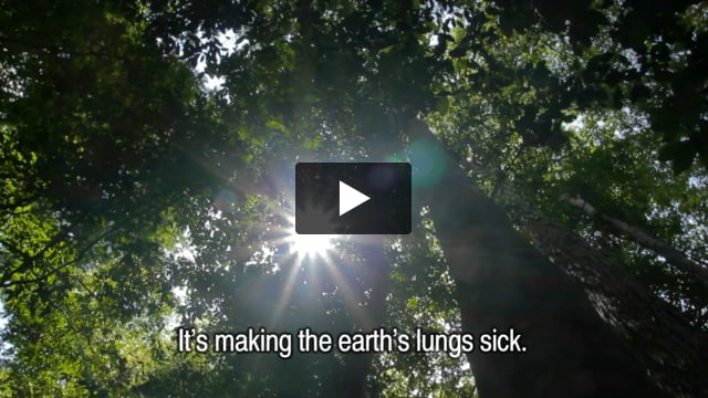 Davi Yanomami on climate change
