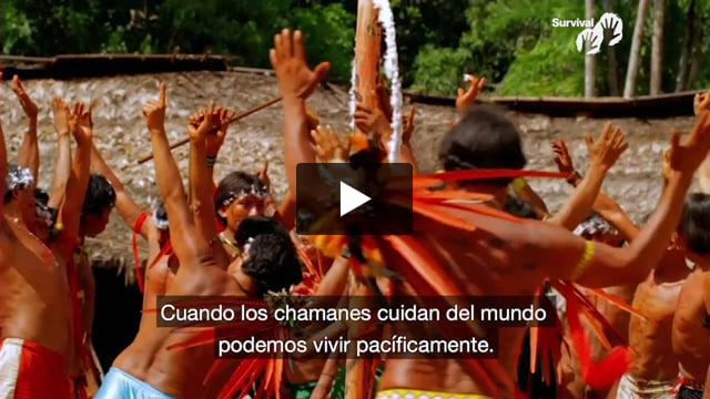 “La caída del cielo”: Un libro que relata la historia del chamán yanomami Davi Kopenawa.