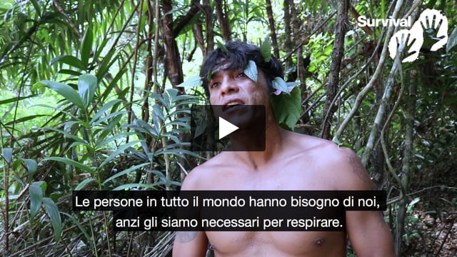 Tribal Voice - Tainaky Tenetehar "Vogliono ucciderci tutti"