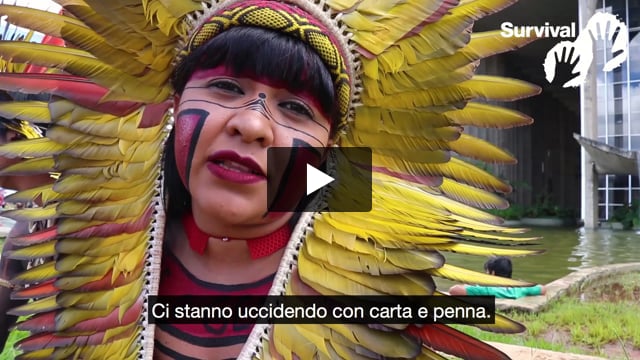 Tribal Voice - Celia Xakriabá “Ci stanno uccidendo con carta e penna”