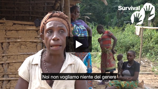 Tribal Voice - Odette "Ne abbiamo abbastanza di sentir parlare di 'confini' nella foresta"