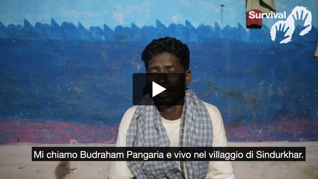 Tribal Voice - Budraham “Che giungla è stata creata dal governo?”