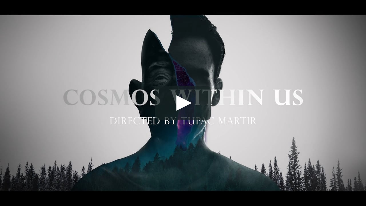 cosmos-within-us-trailer-on-vimeo