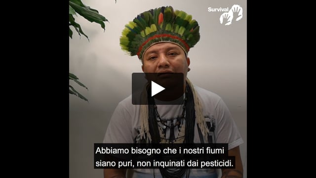 "Presidente Bolsonaro: la smetta con i suoi discorsi carichi di odio!"
