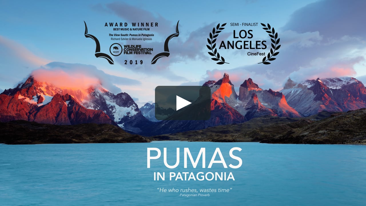 Watch Pumas Patagonia Online | Vimeo On Demand on Vimeo