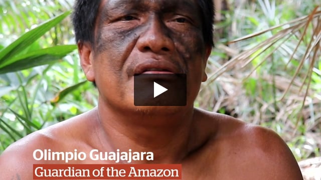 The Guardians of the Amazon