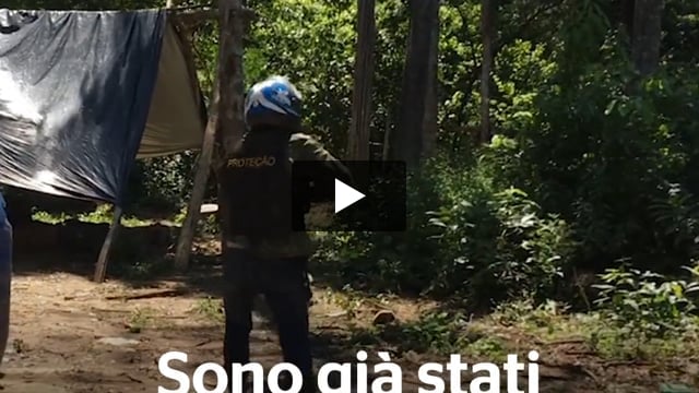 I Guardiani dell'Amazzonia