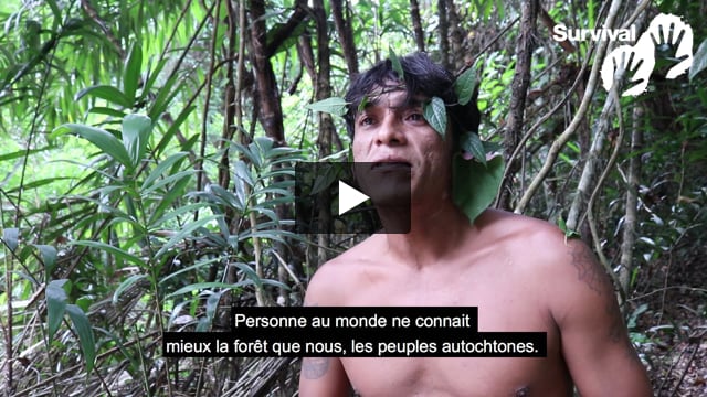 "Ils veulent tous nous tuer"