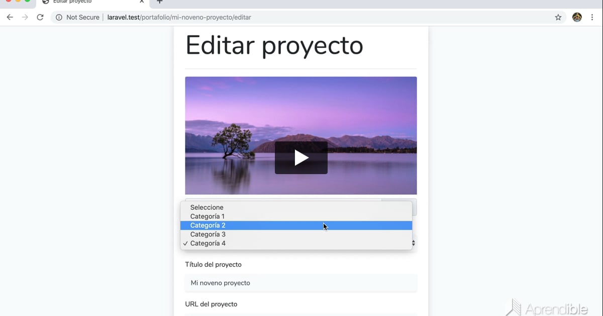 13. Select de categorías