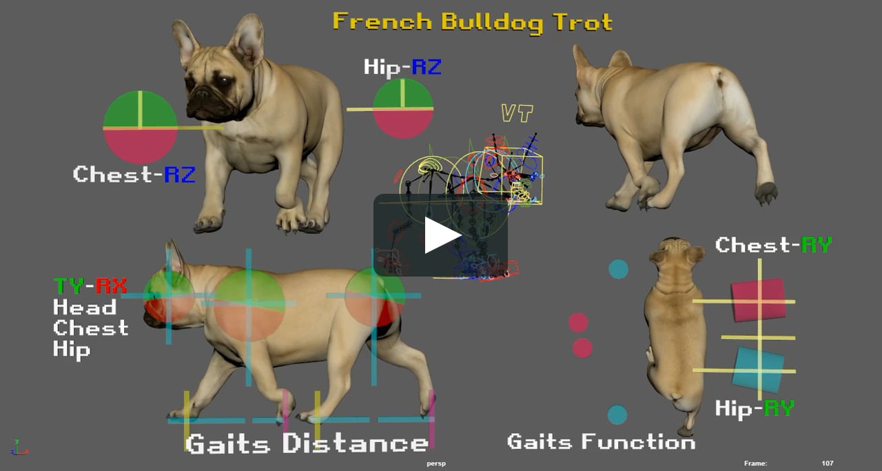 Basic Dog Trot. on Vimeo