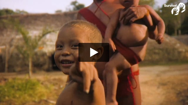 50 years fighting alongside tribal peoples
