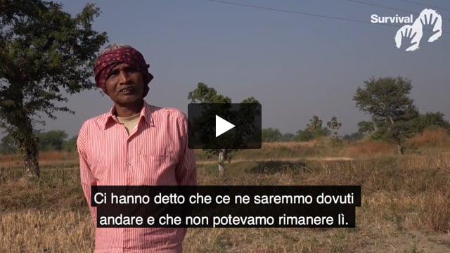 "Eravamo più forti nella foresta"