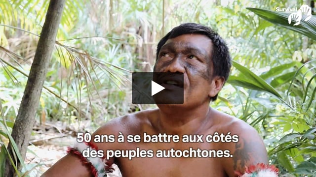 Survival 50ème anniversaire