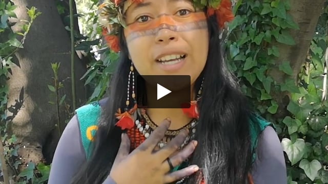 Tribal Voice - Hamangai "Combatteremo sempre. Per la nostra sopravvivenza e per quella dell'umanità"