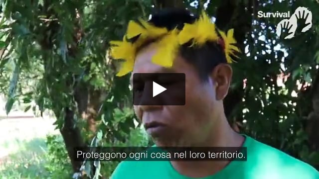 Tribal Voice - Genito "I popoli incontattati proteggono la loro terra"