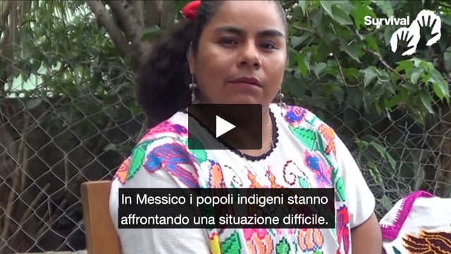 Tribal Voice - Hermenlinda “Hanno inquinato i nostri fiumi con la plastica”