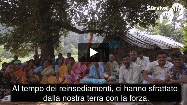 Tribal Voice - JK. Thimma "Siamo stati sfrattati con la forza dalla nostra terra"