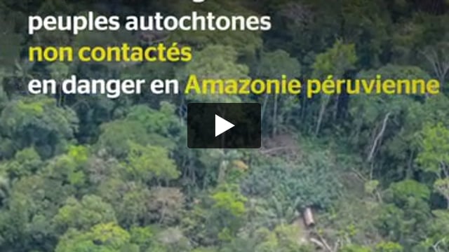 Peuples non contactés de Napo Tigre