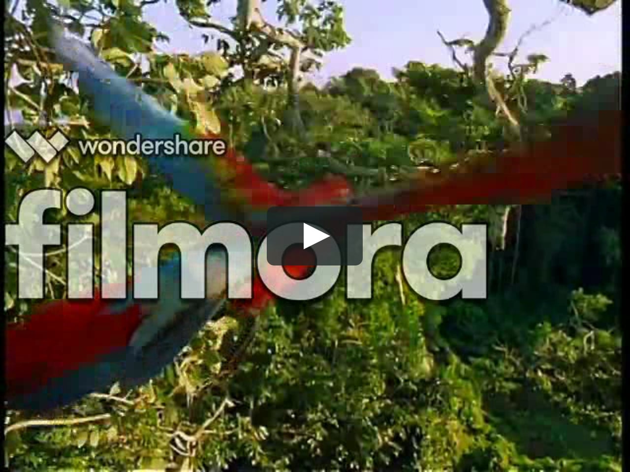 Baby Van Gogh World Of Colors 2004 On Vimeo Baby Van Gogh World Of Colors 2004 On Vimeo