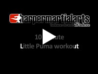 10 minute Little Puma Workout
