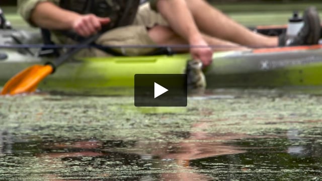Pescador Pro 12 Kayak - 2022 - Video