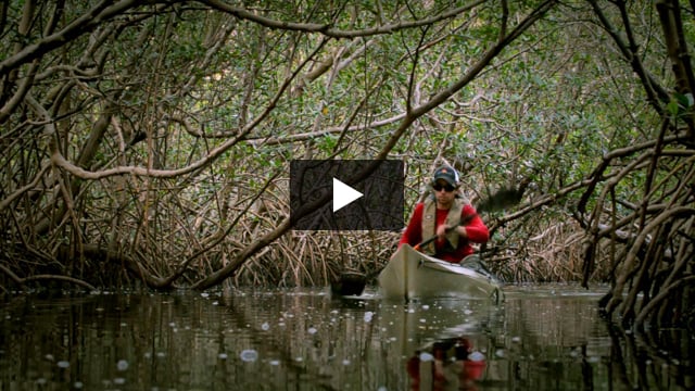 Manta Ray Carbon 2-Piece Posi-Lok Paddle - 2022 - Video