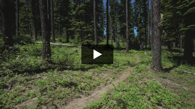 Django Carbon 29 GX Eagle Mountain Bike - Video