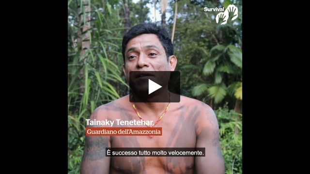 Tributo a Paulo Paulino Guajajara