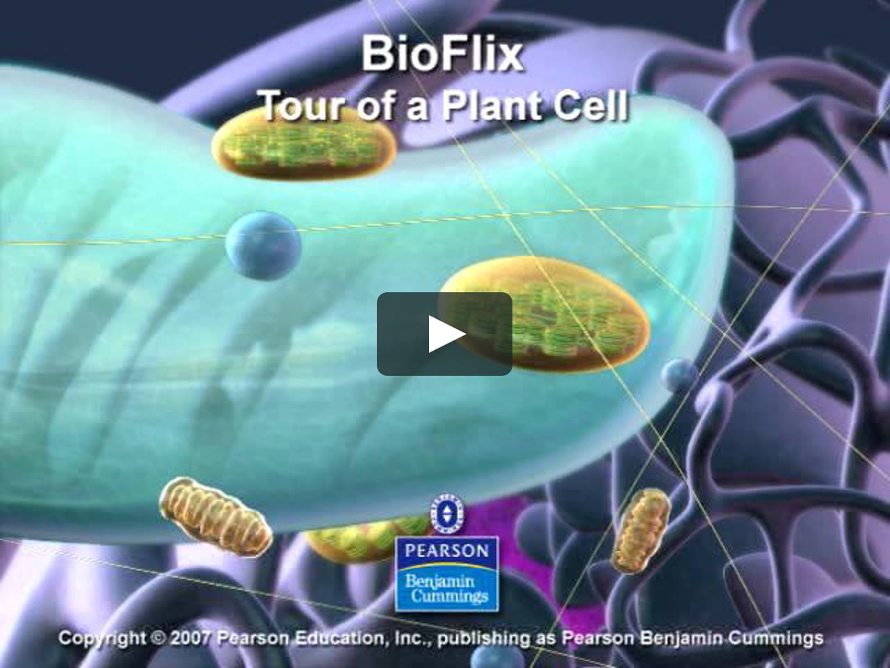 Tour of plant cell on Vimeo