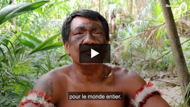 « Nous nous considérons parmi les meilleurs protecteurs des poumons de la planète. »